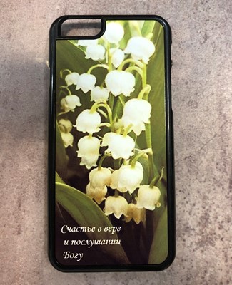 Чехол для айфона (iPhone6) (Борисова)