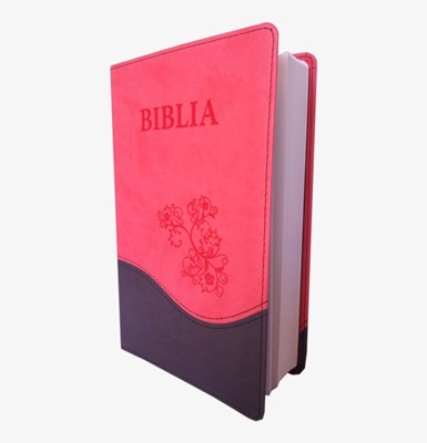 BIBLIA. Noua  Traducere in limba Romana.(На Румынском языке