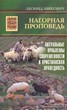 Нагорная проповедь. Актуальные проблемы современности и христианская праведность